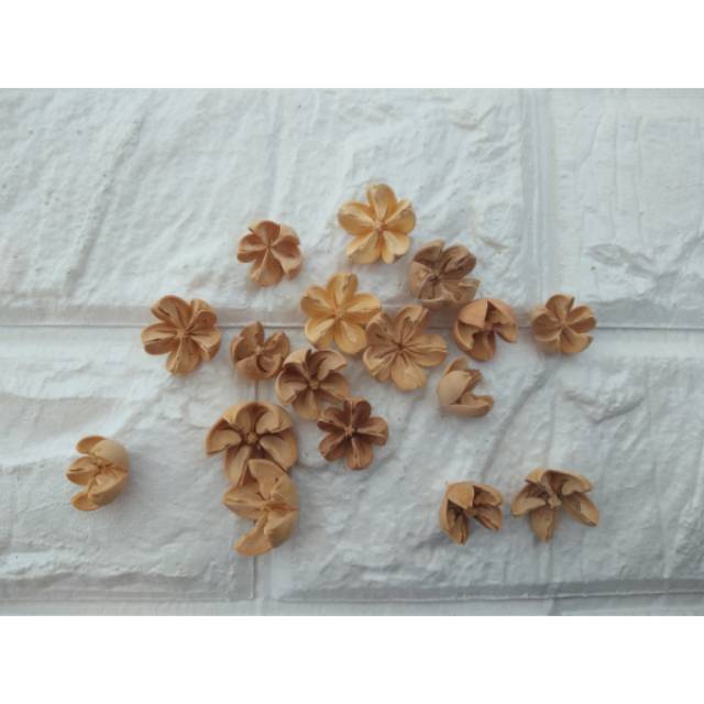 

Biji puspo per 10 biji