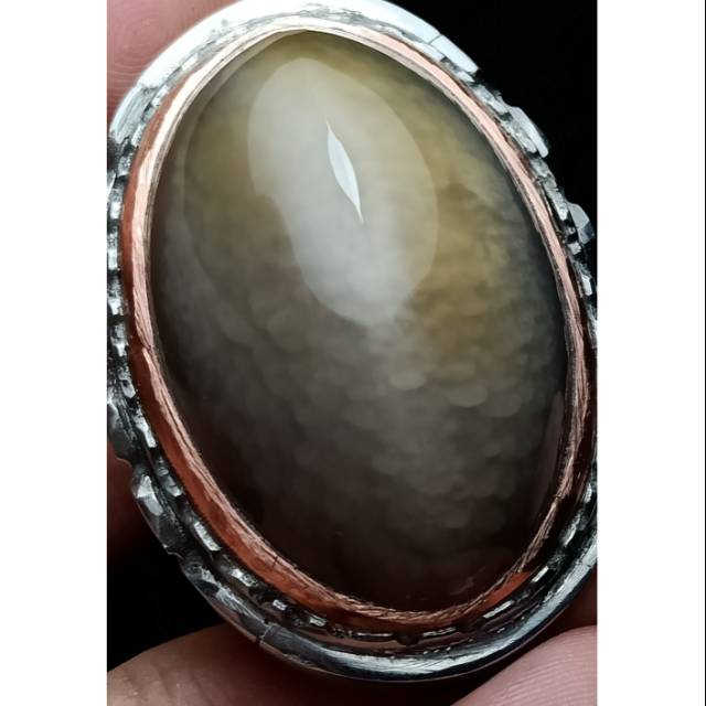 Pandan oli lumut sisik betok