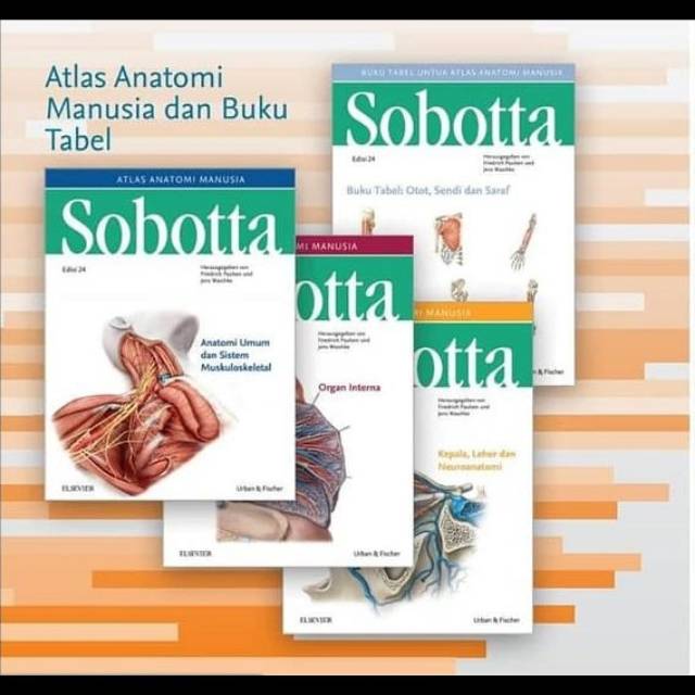 Sobotta Atlas Anatomi Manusia Edisi 24