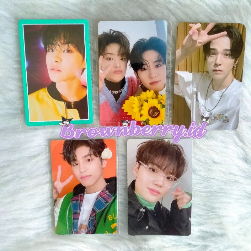 Ready stock Applewood 2.0 Treasure Haruto Yedam Pc photocard tss album green ver jeongwoo bunga, doy