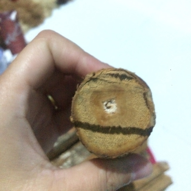 

Akar bajakah asli kalimantan timur