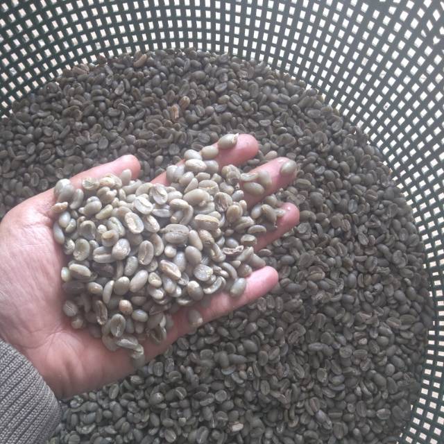 

Greenbean Arabica Lintong