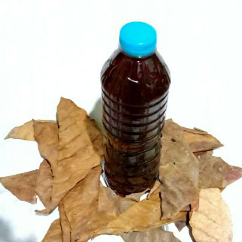 

Ekstrak Daun Ketapang Merah 600 ml Indian Almond Premium Quality