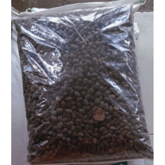 Pupuk Kandang Kambing Murni