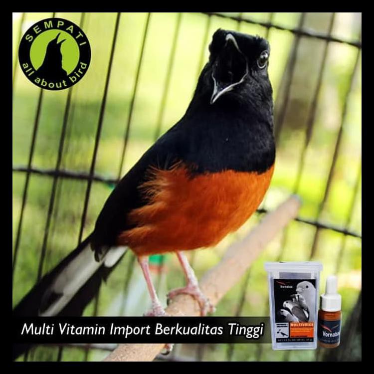 Vornabac Multivoice Vitamin Burung Meningkatkan Kicauan Power