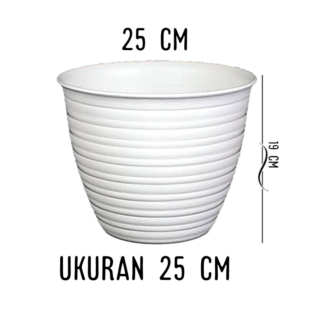 POT BUNGA - Tanaman Pirus Tawon Guci Madu - Putih 25 Cm