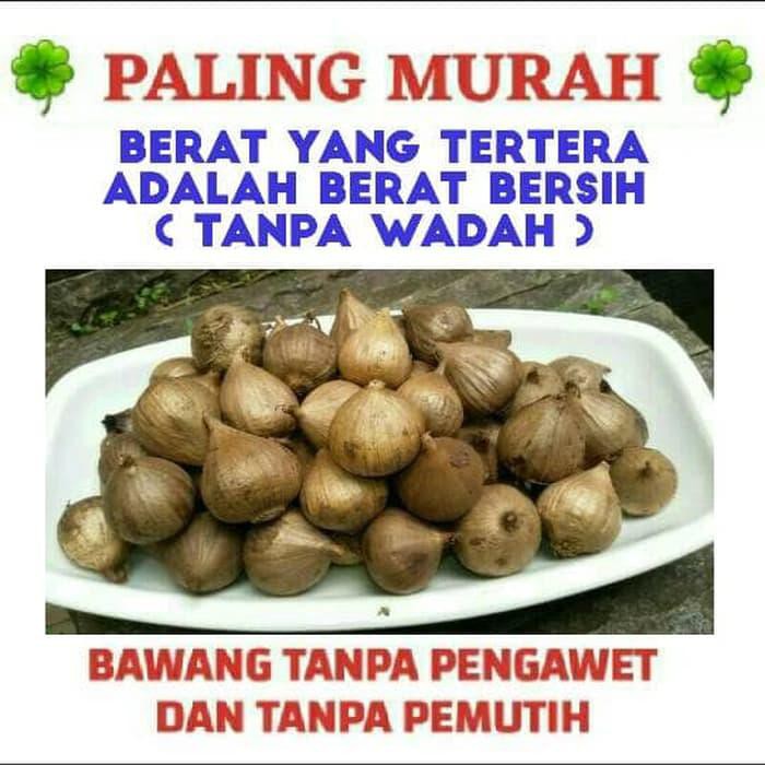 

ORI BAWANG HITAM TUNGGAL/LANANG/250 GR/1/4 KG (PALING MURAH)