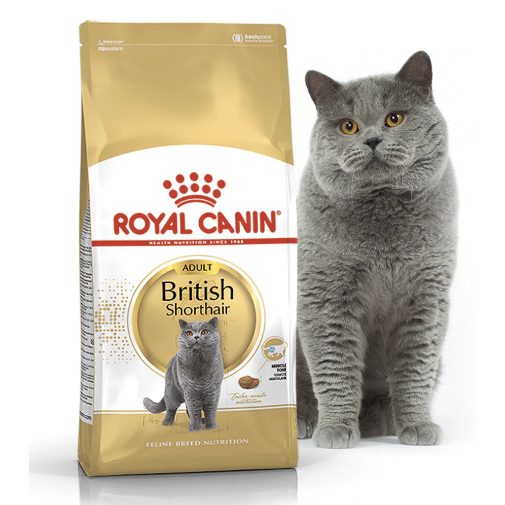 RC BRITISH SHORTHAIR 2 KG / royal canin / cat food / dry / makanan kucing / british short hair