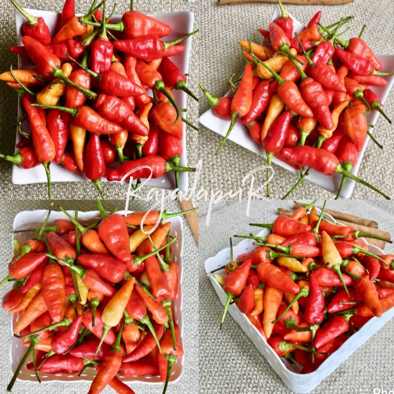 

Cabe Rawit Merah 250gr Segar