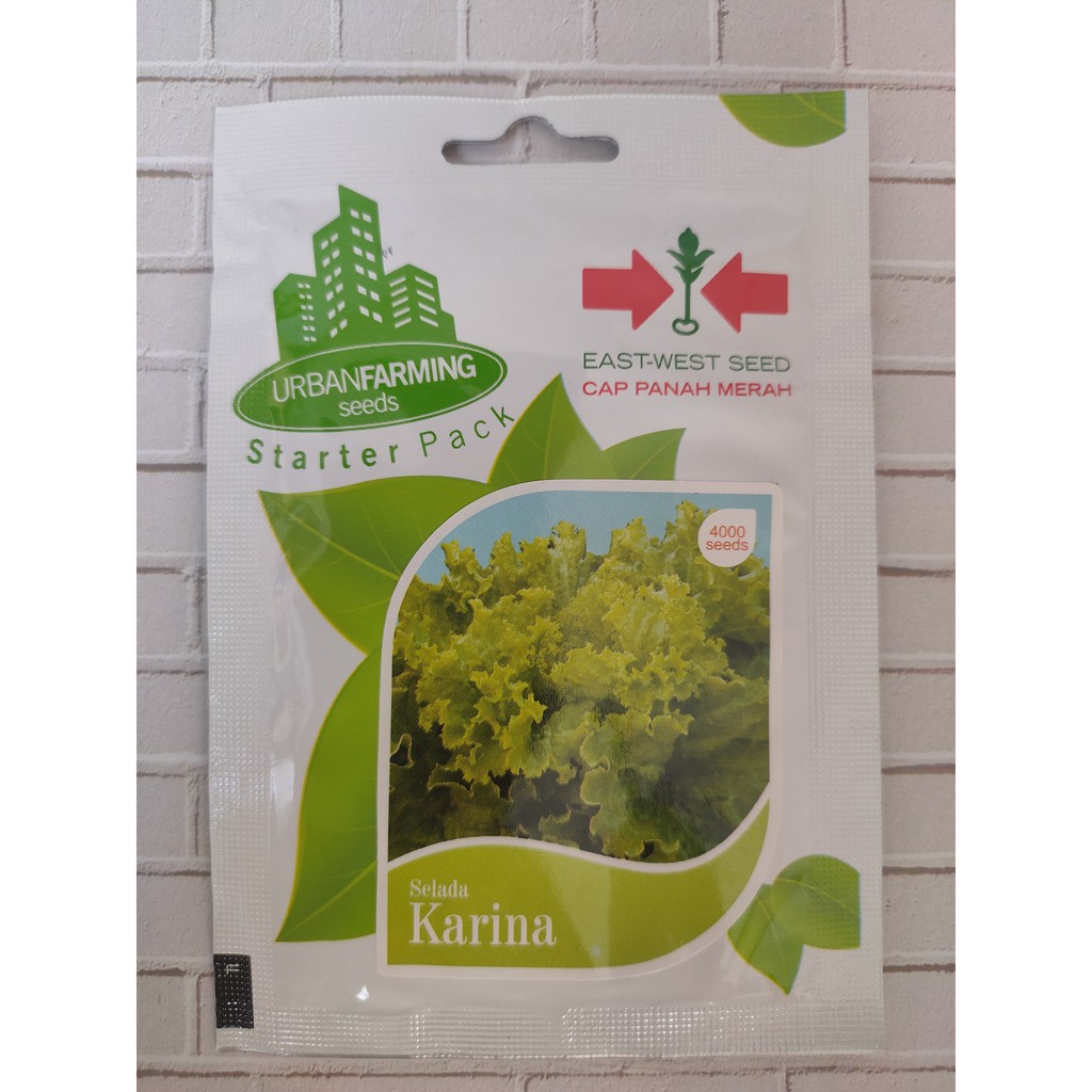 Benih Biji Selada Hijau Karina (Panah Merah)