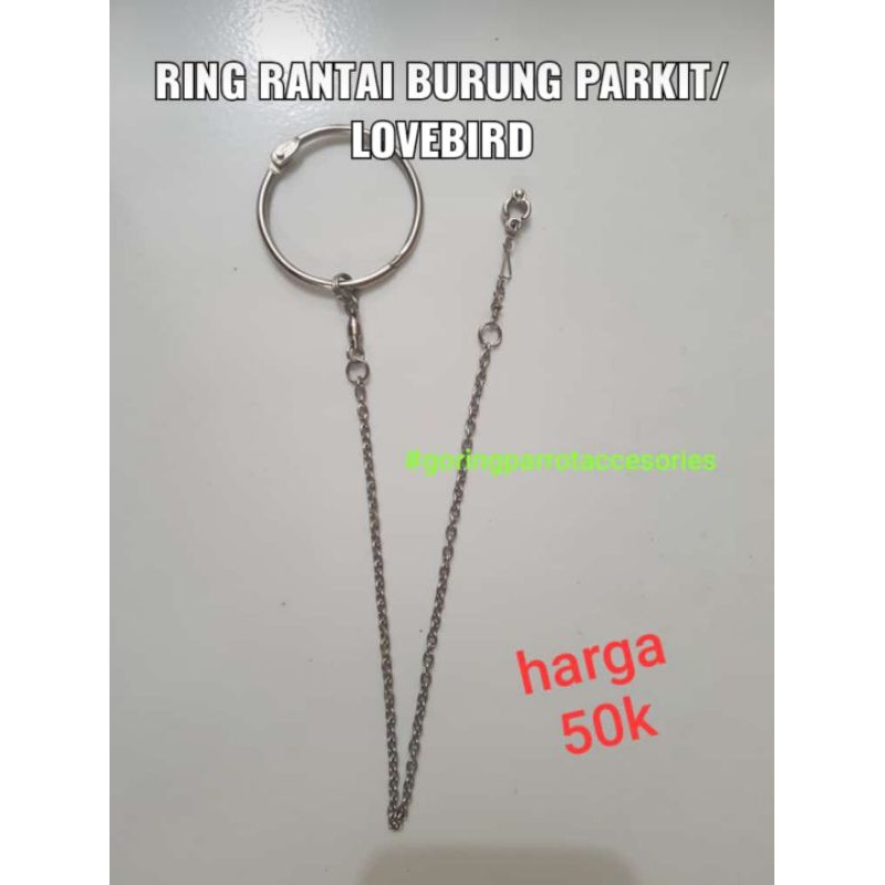 1set ring borgol dan rantai burung lovebird/parkit dll