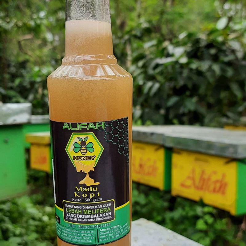 

madu murni ALIFAH, madu kopi (nektar bunga kopi)