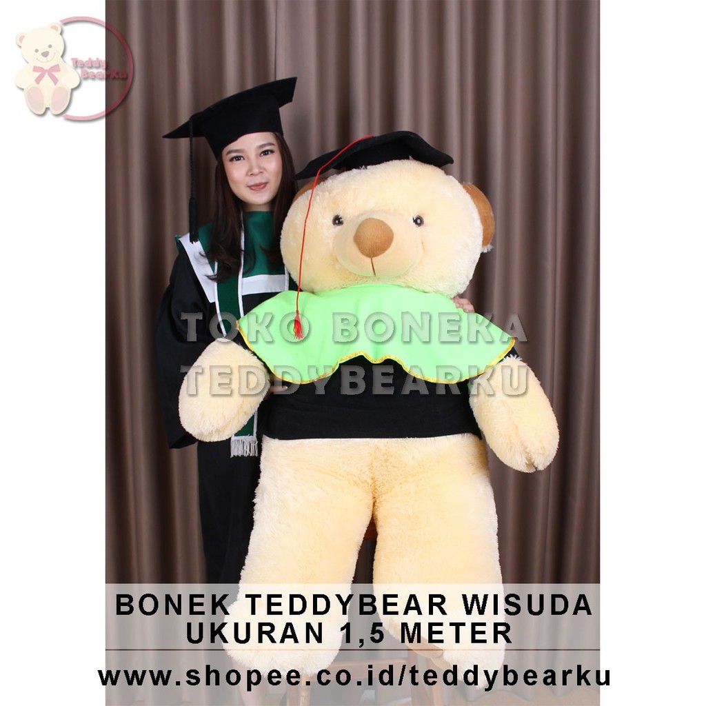 Teddy Bear Special Edisi Wisuda