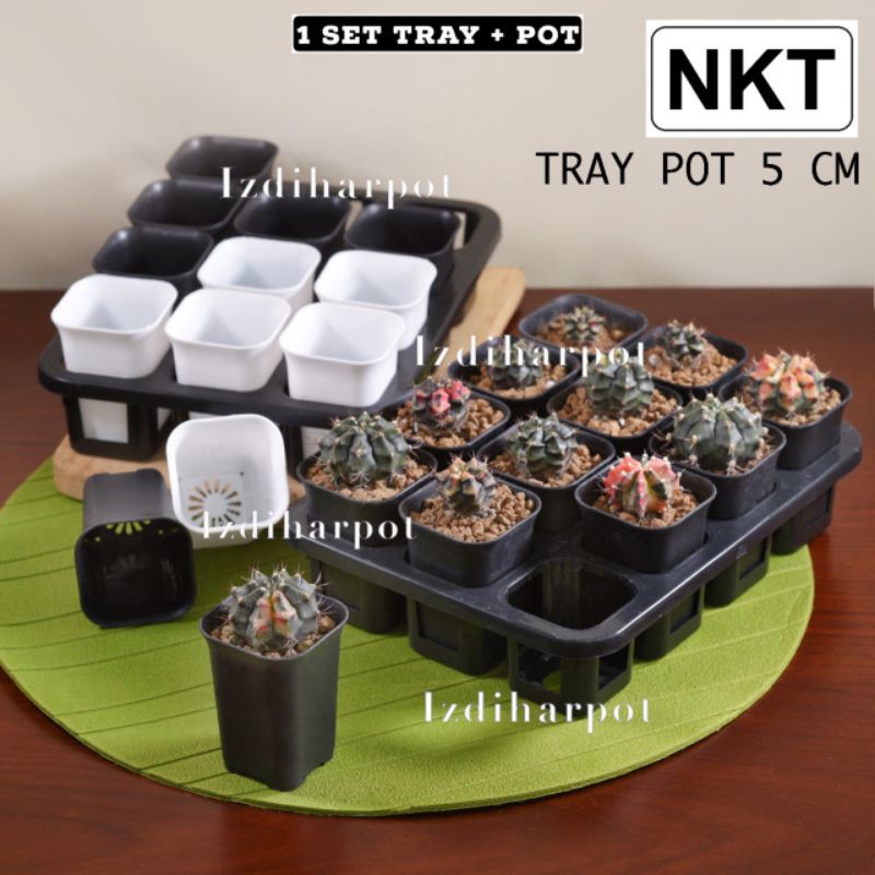 1 set Tray + pot bunga tanaman nkt kotak 5cm | tray semai bibit