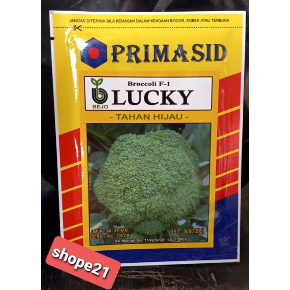 Benih Brokoli Lucky Bejo f1 isi 5000 biji