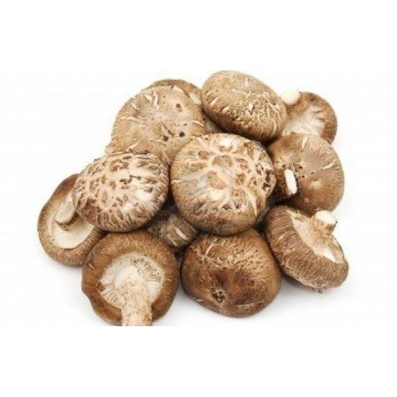 

TERMURAH SHITAKE/HYOKO DRIED MUSHROOM (per 100gr) Kode 504