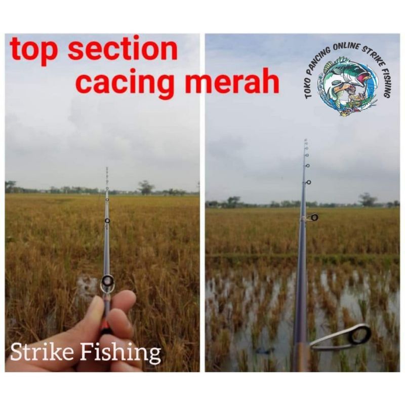 Top section ujung Joran Cacing merah Relix nusantara