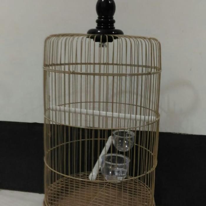 Lianp | Sangkar Pleci Sangkar Burung Kecil Sangkar Bulat Sangkar Besi Kekinian Terlaris