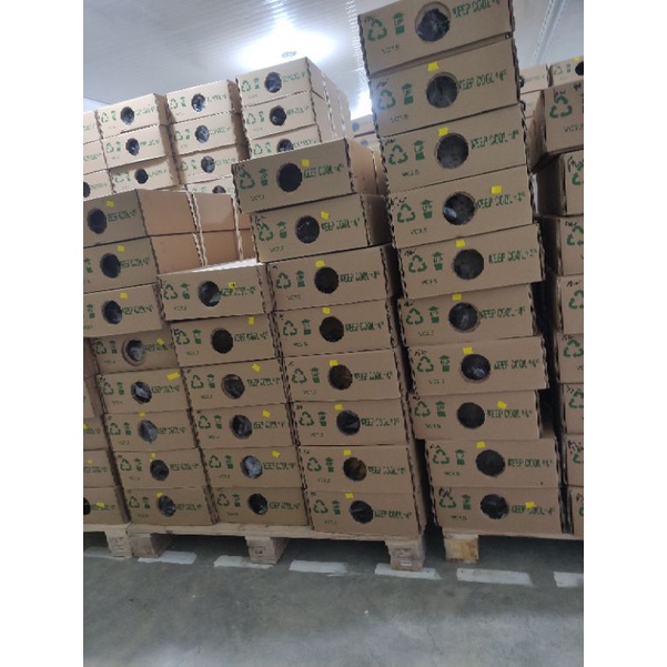 

kotak bekas untuk kontainer