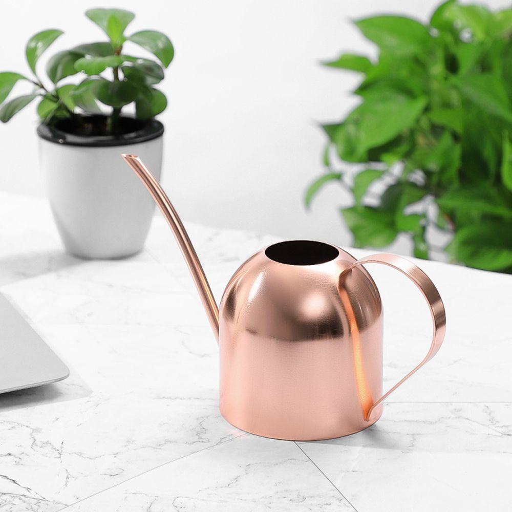 [Elegan] Watering Pot Meaty Home Garden Gardening Pot Bonsai Untuk Menyiram Bunga Mandi Alat Berkebun