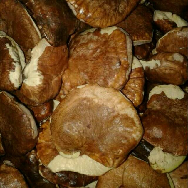 

Gayam Fresh 1 kg
