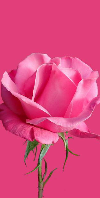 Baju Batik Keluarga Sarimbit Batik Keluarga Gamis Batik Couple Keluarga