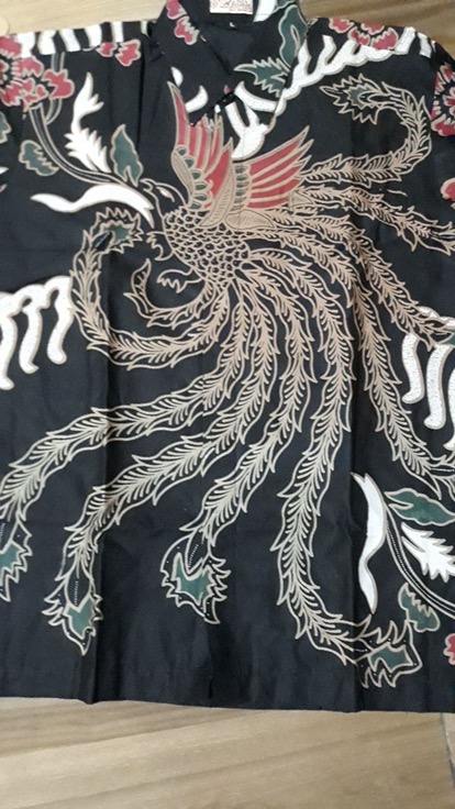 Baju Batik Pria Lengan Panjang Premium Modern Aluna Solo (pcw 029)