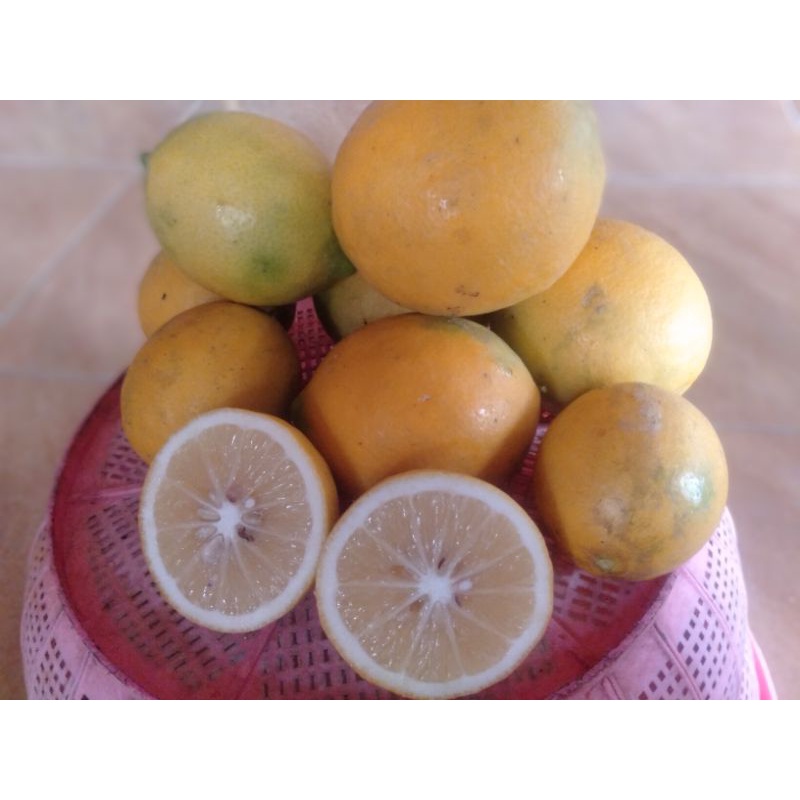 

Lemon California, Lemon Kesehatan