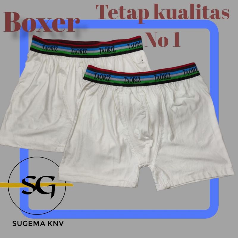 Celana dalam pria boxer art 005