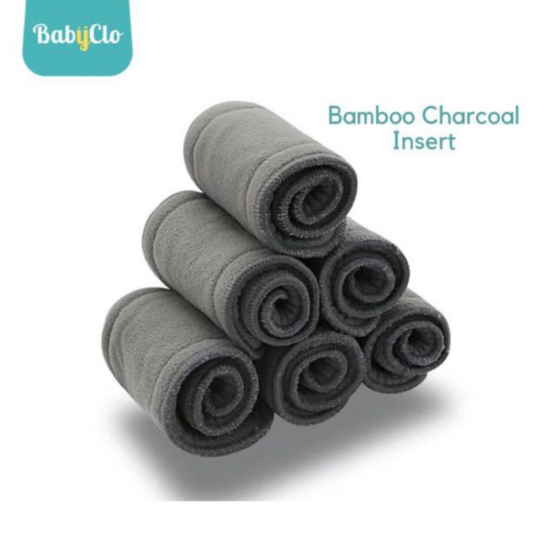 Bamboo Charcoal Insert Clodi Babyclo
