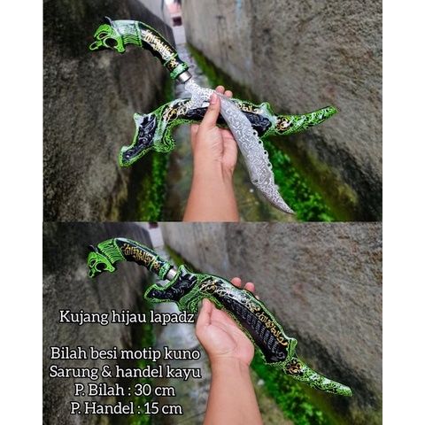 kuj4ng macan rajah lapadz Siliwangi termurah