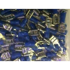 ♟ Skun Female FDD-2-250 Biru ♦