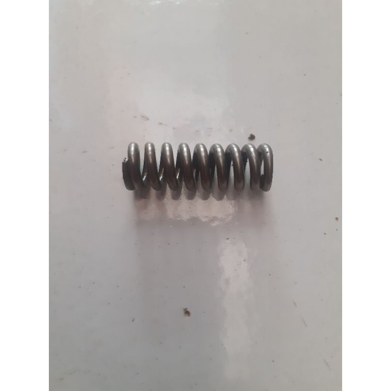 spring nozzle/per nozzle diesel dong feng S 195-1100(12-16pk)