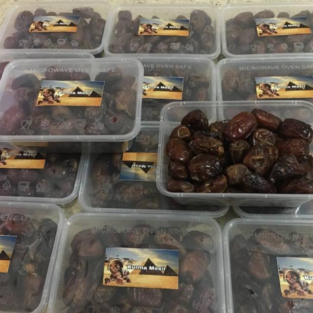 

KURMA MESIR
