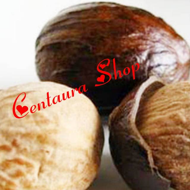 

Pala Kulit Utuh Kwalitas Unggul 1000gr