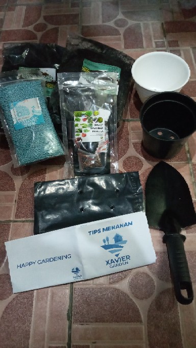 Pot Tawon Putih Mini Diameter 10cm