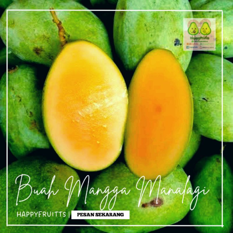 

BUAH MANGGA MANALAGI HAPPYFRUITS 1KG