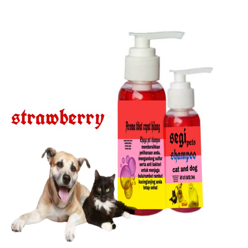 Paket Shampoo grooming SEGI 100 ml Anti kutu Bakteri Anjing kucing Musang