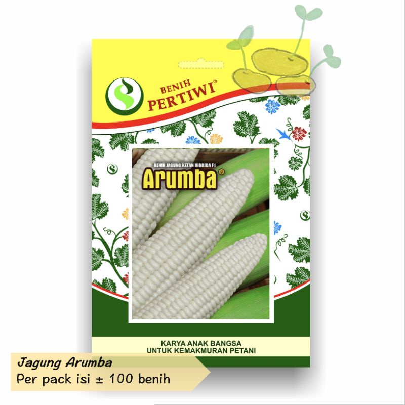 Benih Jagung Ketan Hibrida ARUMBA