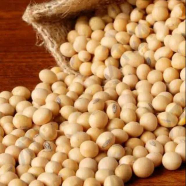 

Biji Kacang Kedelai Super 250gr / Kacang Soy Bean