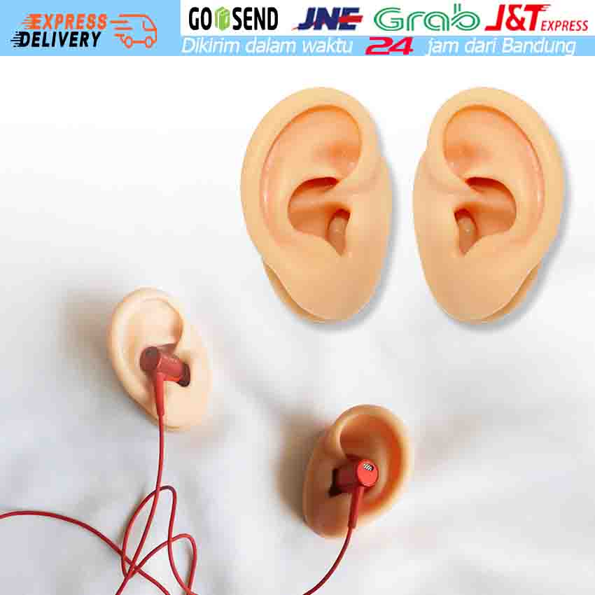 

Alat Bantu Mengajar Model Telinga Manusia 1: 1 Bahan Silikon Dapat Display Earphone/Perhiasan