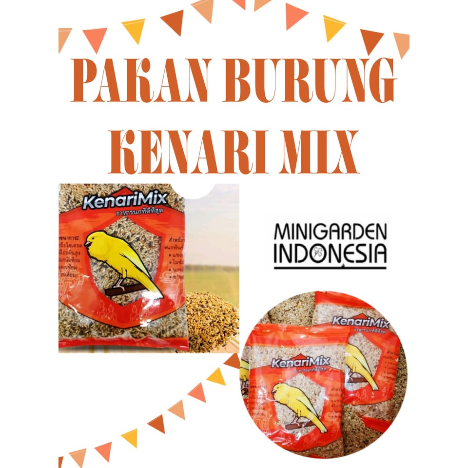 PAKAN BURUNG KENARI MIX canary seed makanan burung biji bijian kenari