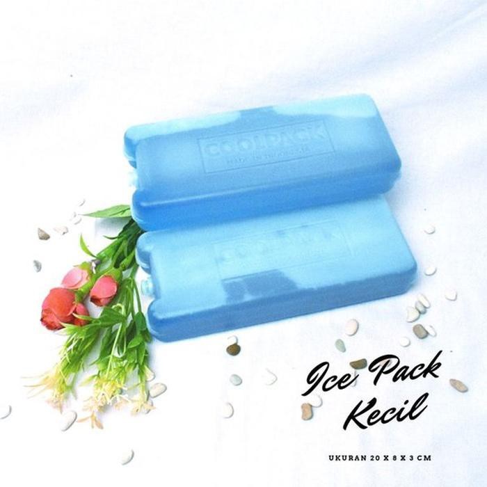 Jual Alat Pembeku Mini - Blue Ice Box - Blue Ice Freezer Pack Diskon