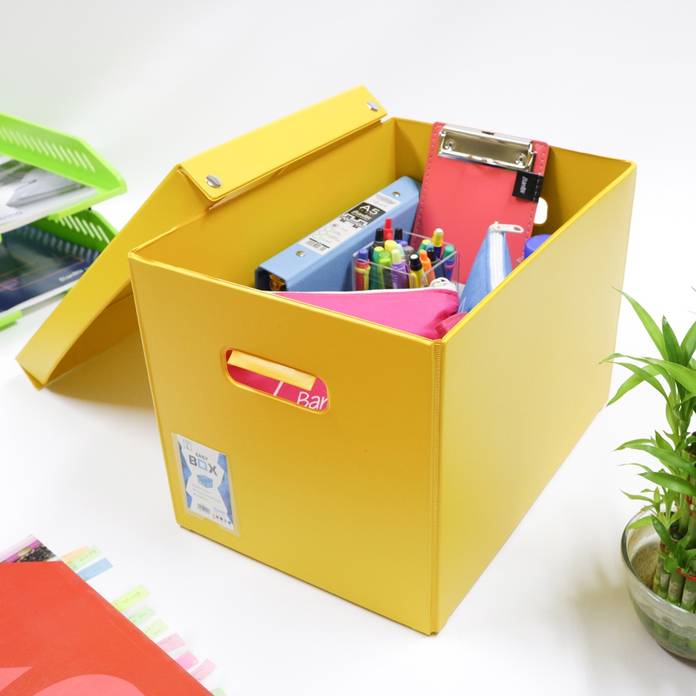 

[Zada] Kotak Penyimpanan Multifungsi Storage Organizer Box Bantex Easy Box L #8920 06