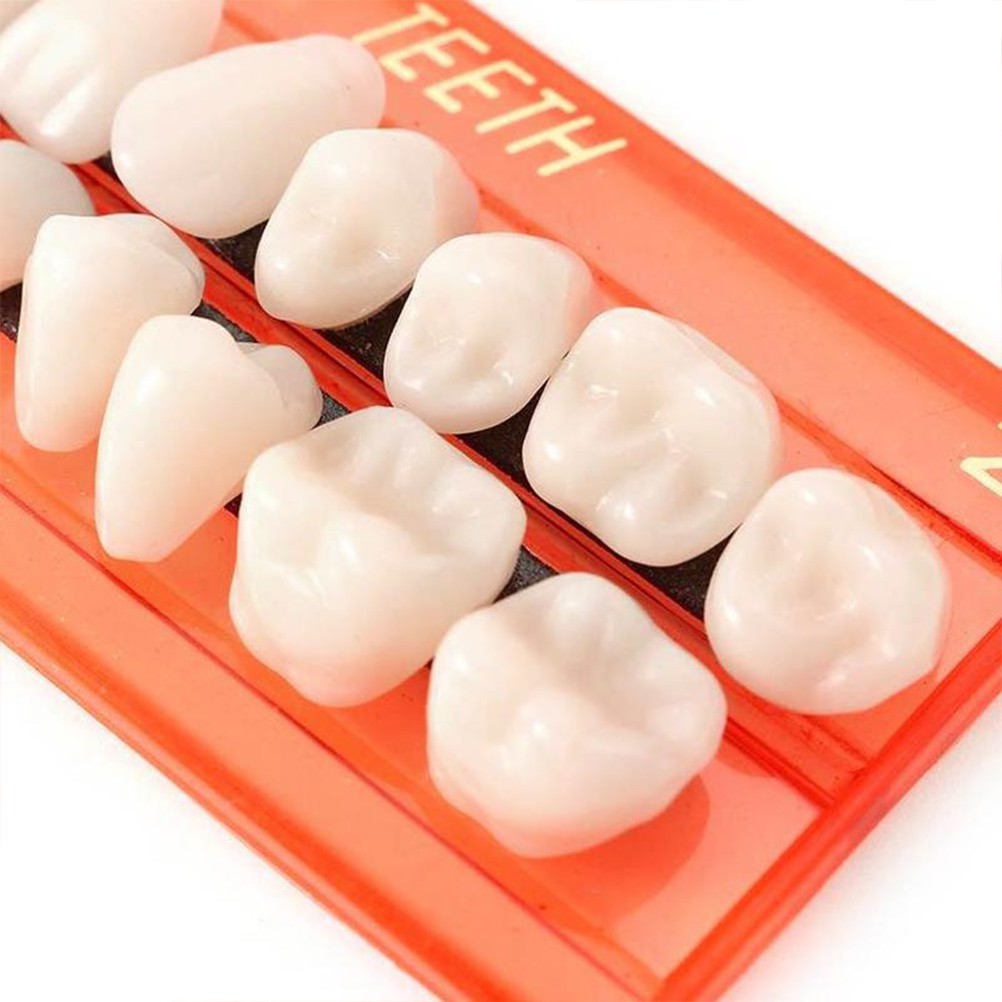 28 Pcs/Set Resin Gigi Model Pengajaran Tahan Lama Gigi Palsu Universal Resi Palsu Gigi Bahan Gigi