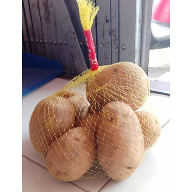 

kentang besar-kentang super