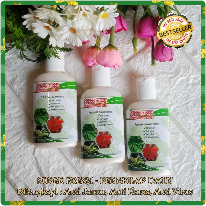 Air Kilap Daun Oles Pupuk Daun Leafshine Super Fresh  Pengkilap Pengkilat Daun Anthurium Aglonema