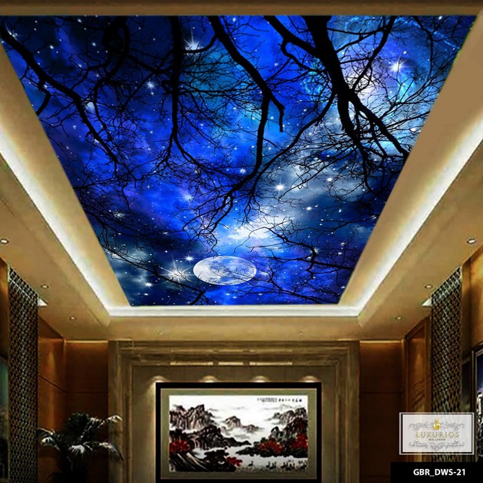 WALLPAPER CUSTOM 3D WALLAPAPER KUSTOM 3D WALLPAPER PLAFON LANGIT MALAM