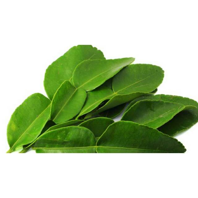 

daun jeruk