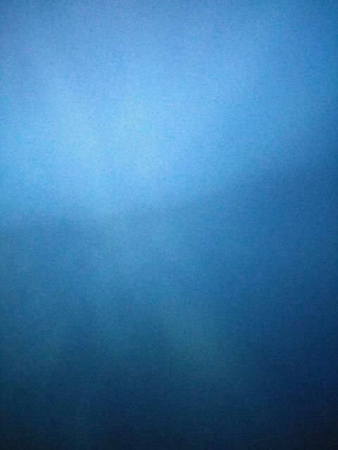 Minyak Hati Ikan Hiu | Sapu Jagad Di Kota Medan - Minyak Sapu Jagat 100% Alami